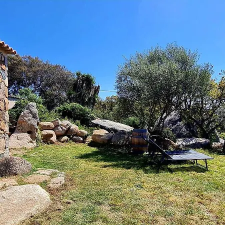 Casa de Férias Bergerie A Sapara *