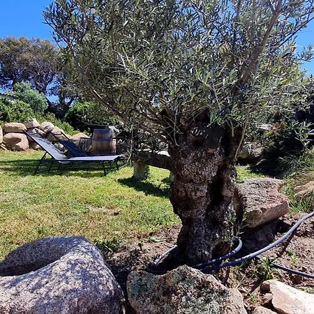 Σπίτι διακοπών Bergerie A Sapara