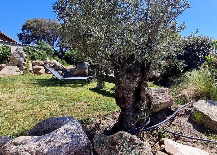 Casa de Férias Bergerie A Sapara